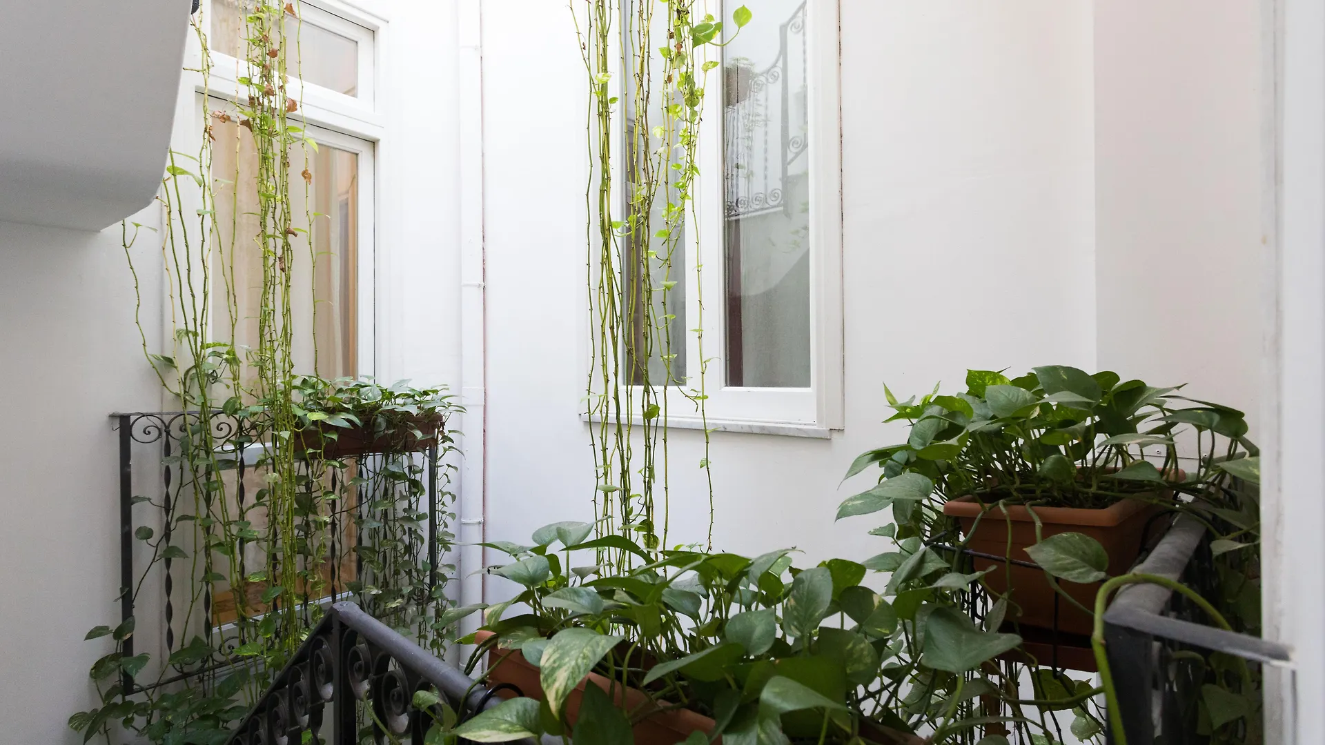 ***  Bed and Breakfast Ai Tintori Palermo Italia